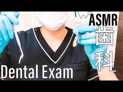 ASMR?Teeth Cleaning and Pediatric Dental Exam RP-小児歯科検診ロールプレイ-