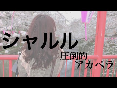 【シャルル】女性が歌ってみた！！【シャルル/バルーン】【歌ってみた】
