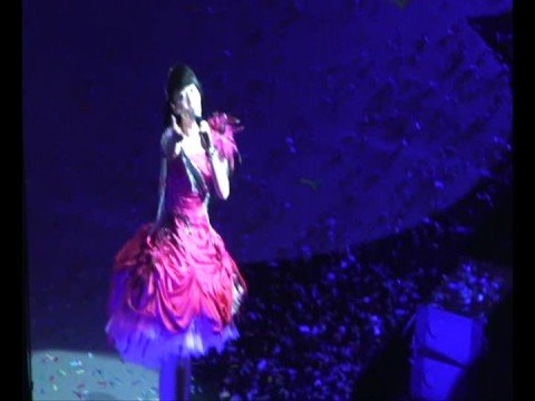 刘若英2008深圳演唱会