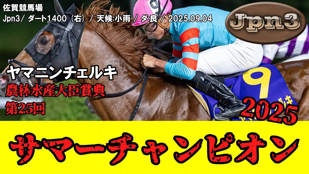 競馬】 サマーチャンピオン （佐賀） 2025 / ヤマニンチェルキ - YouTube