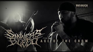 Sinners Bleed Age Of The Crow   taken From The Album Absolution