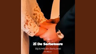 Zi De Sarbatoare (feat. Mili din Barbulesti)