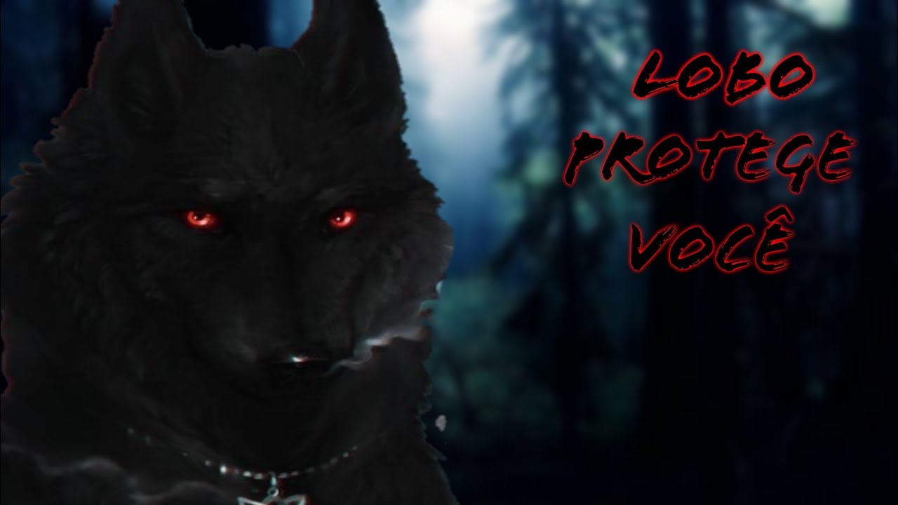 Asmr- Lobo protegendo você