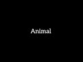 Animal Juls Cattáneo Letra En Español Animal Juls Cattáneo Letra En Español