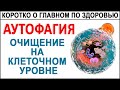 Хотите жить дольше? Тогда запускайте Аутофагию - самоочищение и омоложение организма.