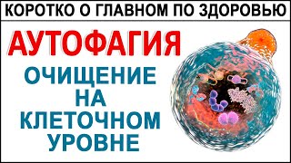 Хотите жить дольше? Тогда запускайте Аутофагию - самоочищение и омоложение организма.