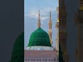 Allah hafiz 💗 #explore #viral #shorts