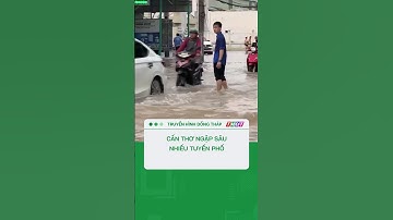 Triều cường vượt báo động 3, Cần Thơ ngập sâu nhiều tuyến phố #shorts