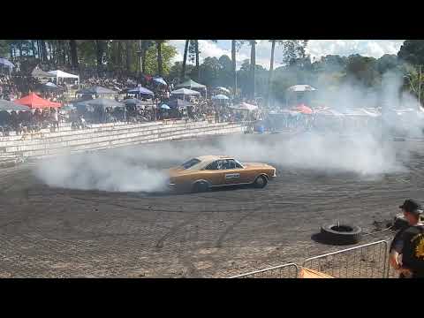 Opala da RIFA fazendo zerinho