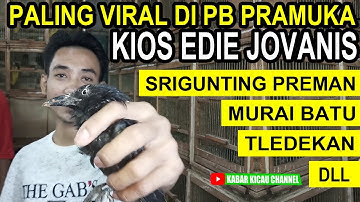 KIOS VIRAL !! UPDATE Harga Burung Tahun 2021 Kios Edie Jovanis Pasar Pramuka