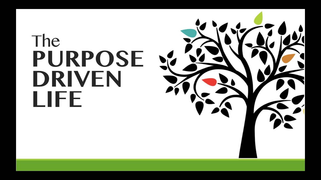 Purpose Driven 5 - YouTube