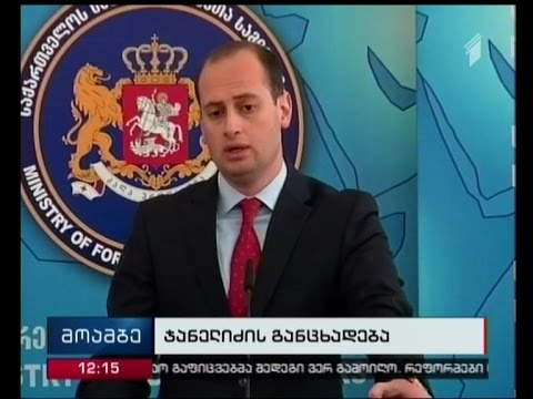 ჯანელიძე ლავროვთან შეხვედრის მზაობას გამოთქვამს