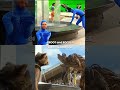 ROCKET And GROOT Guardians Of The Galaxy Behind The Scenes Before After CGI ROCKET And GROOT Guardians Of The Galaxy Behind The Scenes Before After CGI