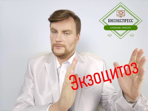 Бейне: Экзоцитозға энергия қажет бола ма?