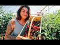 Let&#39;s Harvest &amp; Chat (Food Costs, Mindsets, and Catching Up)