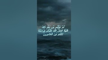 سورة البقرة اية 64 - مع صوت البحر بصوت جميل - ثُمَّ تَوَلَّيْتُم مِّن بَعْدِ ذَلِكَ