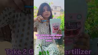 Liquid Organic Fertilizer for Roses &amp; Orchids🌹#rosefertilizer #organicgardening #liquidfertilizer