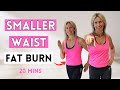 Burn fat  get a smaller waist  20 minute home workout low impact  no equipment