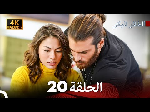مسلسل الطائر المبكر الحلقة 20 4K Arabic Dubbed 