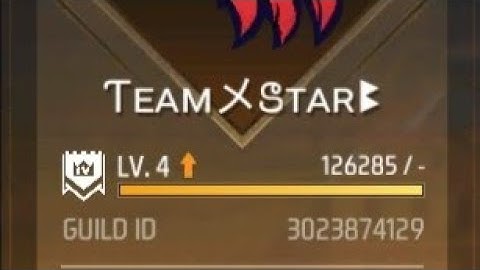 PRESENT TEAM STAR GUILD || 3d guild video || free fire 3d guild || ✅  xml 👇#reel #shorts #xml #