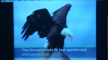 Inauguration and session 1A - FDP on SPSS at Jain University April 2016