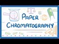 Mastering Paper Chromatography Techniques and Concepts