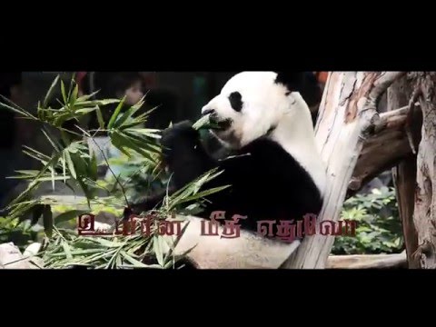 aadhi-tamil-short-film-promo-song