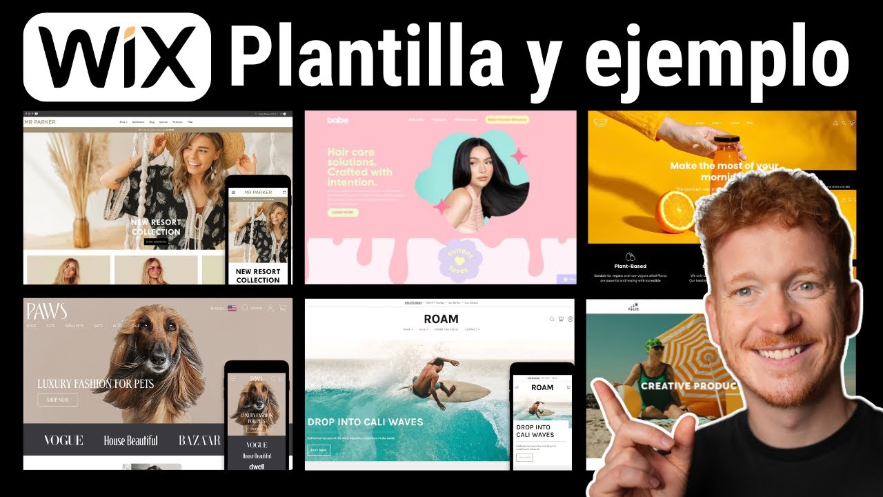 Plantilla y ejemplo de sitio web Wix: Los 10 mejores sitios creados con Wix