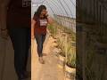 Aasman se gire khajur me atke | Daily Mini-vlog Day 284