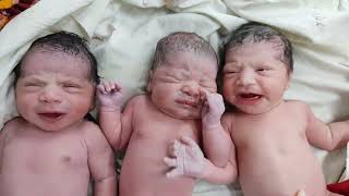 Biggest Triplets newborn babies immediately  after birth