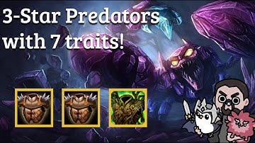 3-Star Preds with 7 traits active!