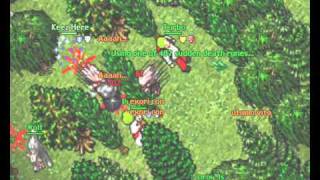 Tibia ots pk