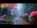 🔴 Relaxing Zen Music 24/7, Stress Relief Music, Meditation Music, Study, Sleep, Forest Ambience