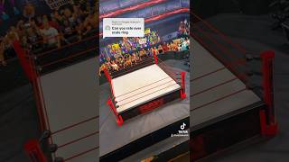 THE BEST WRESTLING RING! screenshot 4