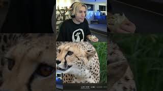 xQc names the animal... 💀