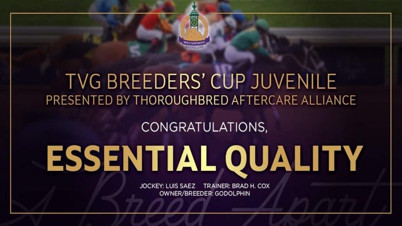 tvg breeders cup