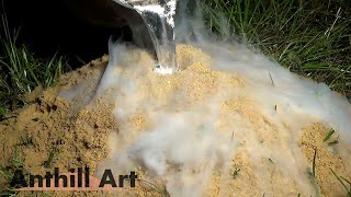 Fire Ant Hill Casting with Aluminum (Cast #070)