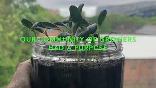 Growing at Home with Calthorpe Community Garden