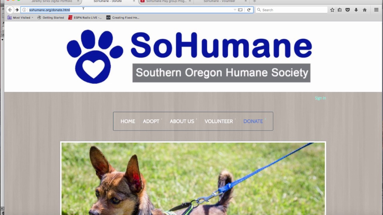 Crater BIS Portfolio Y2: 7-2 Insert & Style BIS Internship Experience: Spotlight