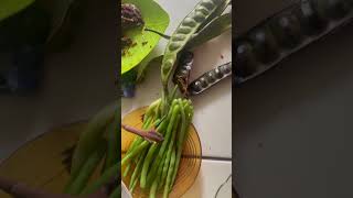 #lagu #food #foodie #streetfood #foodlover #makanansunda