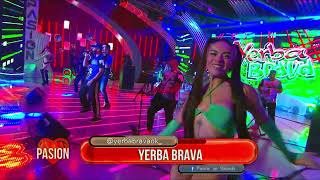 Video voorbeeld van "Yerba Brava en vivo en Pasión de Sábado 25 03 2023 Parte 1"