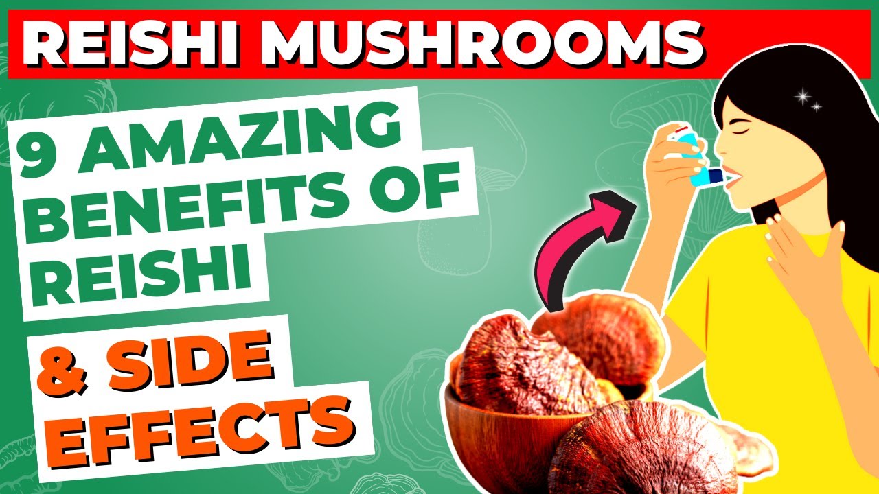 9 Health Benefits of Reishi Mushroom & Side Effects YouTube