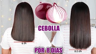 RETO#3 CEBOLLA PARA HACER CRECER EL CABELLO Y DETENER LA CAIDA  EN  8 DIAS ?