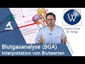 Ihre Blutgasanalyse BGA Wichtige Werte Verständlich Erklärt Richtig Interpretiert PH Hb Etc