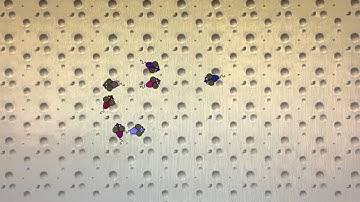 Qt5 Colliding Mice Demo