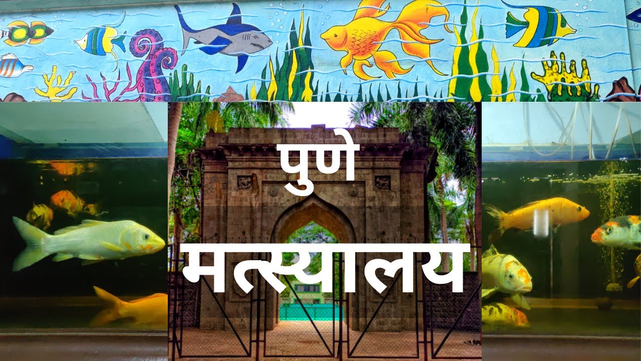 Fish Aquarium in Pune मत्स्यालय Places to visit near Pune Oneday