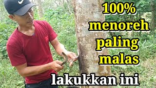 Asli100% aman ✔️ buat seperti ini dulu di jamin satu ( kebun karet ) ga kerasa cape @sepvlogerbaru