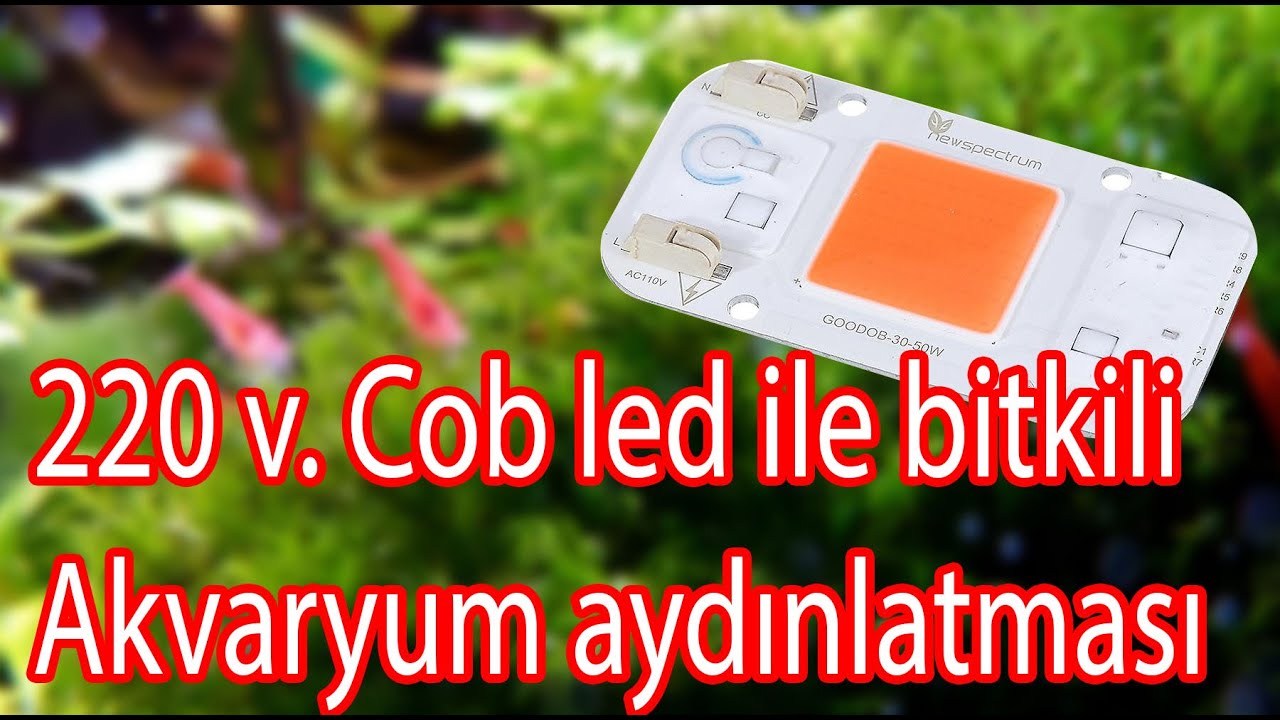 Dimmlenebilir 220 volt fullspectrum cob led  ile 60watt ayarlanabilir bitki büyütme ışığı yapımı