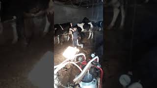 Müzikle Çildiran Çocuk Mükemmel Oyun