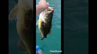 Big Girl Is Going Home